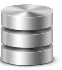 The Big Database Problem Database Cloning Time-consuming. No self service. Storageintensive.