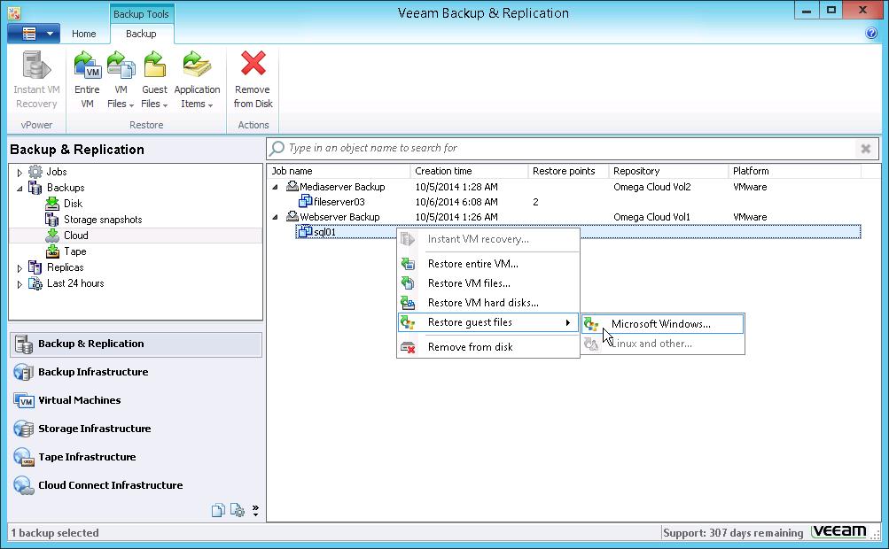 Using Cloud Repositories After you have set up the Veeam Cloud Connect infrastructure, you can proceed to performing data protection and disaster recovery tasks using the cloud repository.