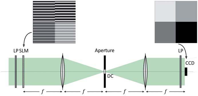 In our experiments, linearly polarized light from an rgon laser is spatially filtered, expanded, and collimated.