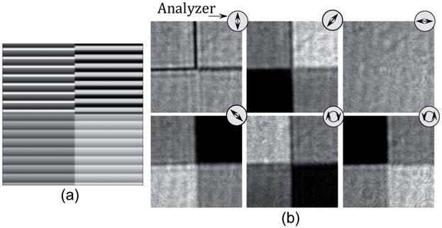 Fig. 4. (a) Grating mask. (b) Output images are shown using a linear polarizer analyzer oriented at 0, 45, 90, 135 and with right and left circularly polarizer analyzers.