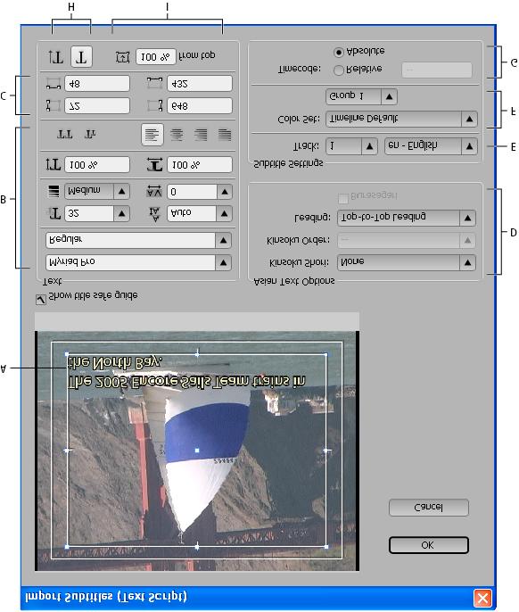 Import Subtitles (Text Script) dialog box A. Subtitle within bounding box B. Text formatting and alignment options C. Coordinates of the text bounding box D.