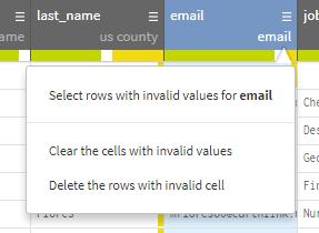 Green Data matches the cell format White Empty cells Orange Data in the cell does not match the cell format Let s take a closer look at the E-mail Data Quality Bar.