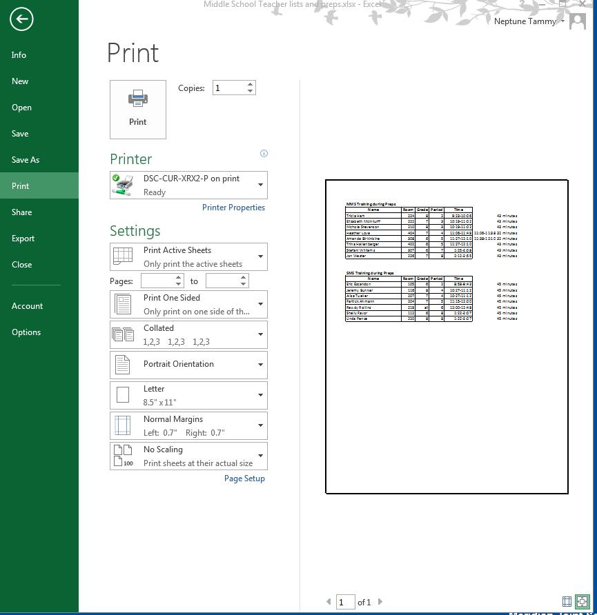 Printing a Spreadsheet NOTE: Always print preview BEFORE printing a spreadsheet. (Hint: Place Print Preview and Print in the Quick Access Toolbar.