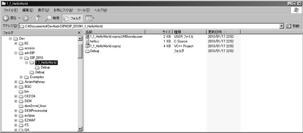 Project folder, common debug folder (