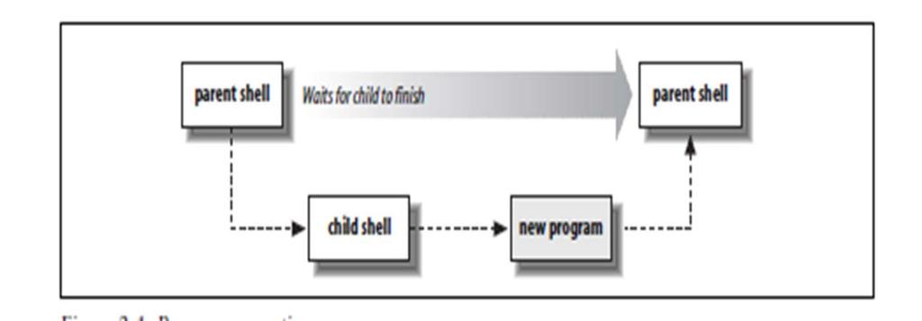 External commands Implemented by another program Shell runs by creating a separate process. 1. Create a new process. 2.