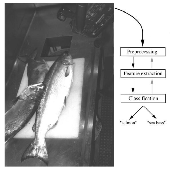 Machine Classification Sorting fish on a conveyor belt: Salmon ( 연어 ) vs.