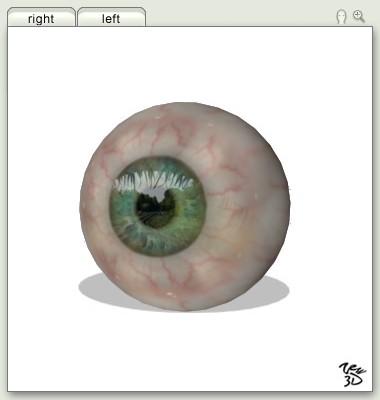 INTERFACE 5. Preview window At this window you can see items from your project on eye model.