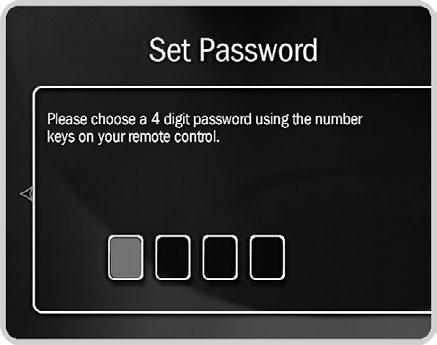 No password or controls set. Padlock appears unlocked and dark. On. Password and controls set. Padlock appears locked and bright. Temporarily off.