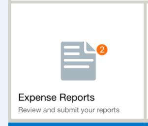4.4.5 Correcting and Resubmitting an Expense Report Your Expense Approver can send a report back to you if an error is found.