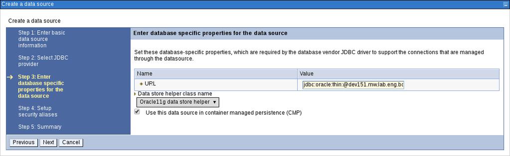 Enter Database Specific Properties for Data Source Screen 6.