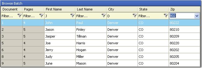Chapter 3 Standard Commands and Menu Options Browse Batch Filter You can use the Browse Batch Filter to locate documents containing specific index values (or, blank index values), document numbers,
