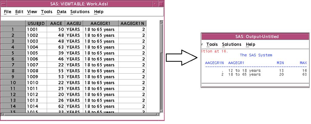 The example code below will check if the age group assignment was implemented appropriately.