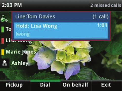 Bosses and delegates can also resume calls held on the other s line.