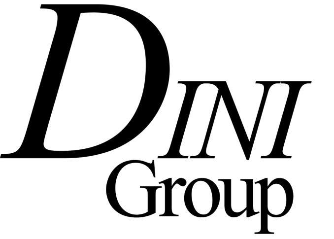 DINI Group FPGA-based Cluster computing with Spartan-6