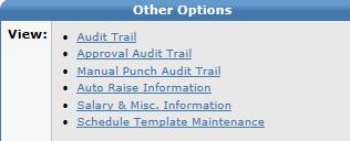 To access this feature, click on Manual Punch Audit Trail under Other Options. 1. 2.