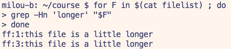 Bash $( ) $( < file ) replaces the whole $( ) with the contents of
