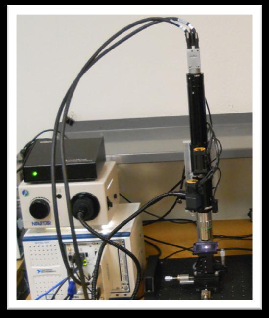 2. In the above image, it can also be seen how the end of the Flexible Light Pipe will fit into the end of the Fiber Input Adapter on the microscope.