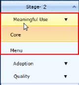 1. Click the arrow in the Meaningful Use tab to display the options: 2. Click Core or Menu to view the summary.
