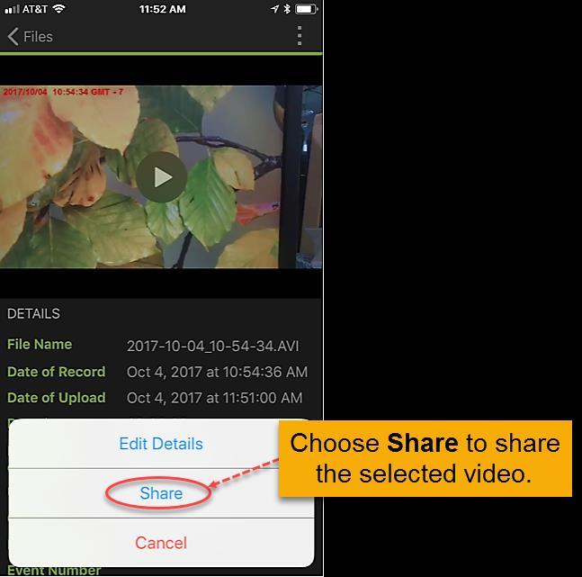 The Share window is displayed.