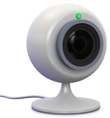 CAPTURE DEVICES Other cameras are webcams, which are simple video cameras.