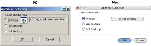 a) Window - Select this option if you would like to share only the application window. PC only: click and drag the window icon onto the desired application window.