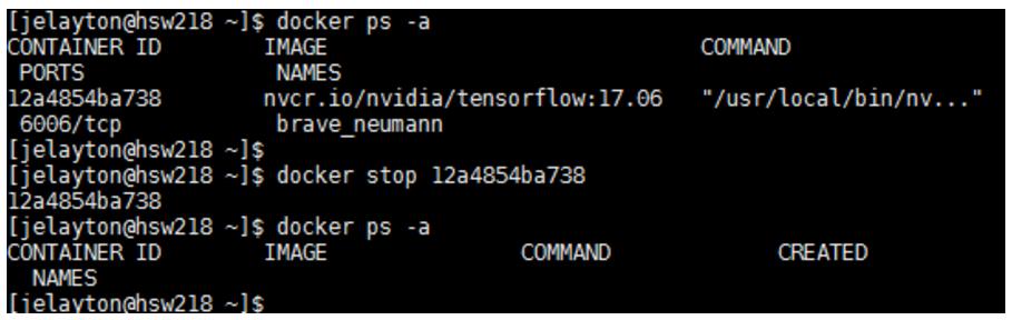 Docker Best Practices with NVIDIA Containers local_dir is the directory or file from your host system (absolute path) that you want to access from inside your container.