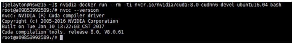 Figure 11 Running an image to give you feedback This docker image actually executed a command, nvcc --version, which provides some output, for example, the version of the nvcc compiler).