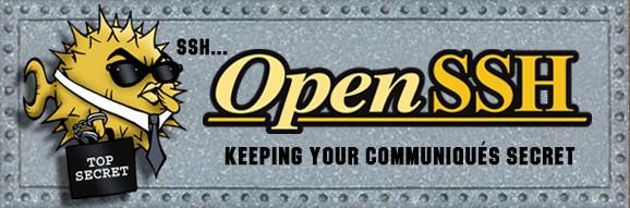 Installation and Management of OpenSSH Server OpenSSH is commonly installed via package management (e.g., sudo apt-get install openssh-server openssh-client).
