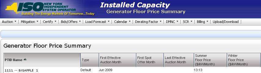 Month will be set to the first Spot Auction Month when the generator is Subject to Floor Price. The system will also display the floor price as shown below.