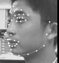 3. Fig. 2: Frontal, half-side, and full-side view faces and the labeled landmark points.(courtesy of S.Z.Li et al.