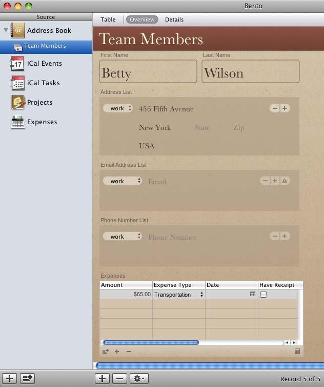 You can also create a related records list that shows expenses for each team member. Drag Expenses to the Team Members form.