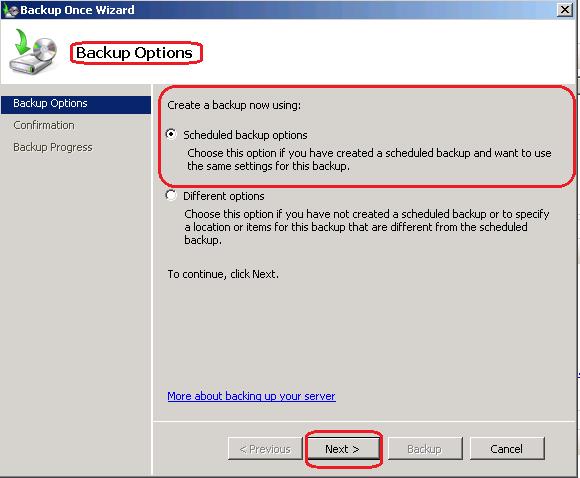 13. On the Backup Options page, click the Scheduled
