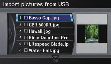 Importing Pictures from USB To use a wallpaper image other than the factory defaults, you can import pictures from a USB thumb drive or similar device.