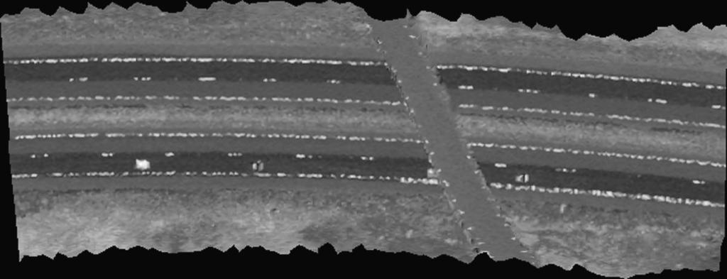 ( ) P. AxelssonrISPRS Journal of Photogrammetry & Remote Sensing 54 1999 138 147 139 Fig. 1. Reflectance image of road survey. mation than a 2.