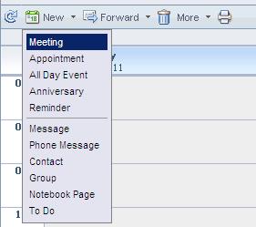 The Calendar Tab The calendar tab is where you see any and all of your meetings and appointments. To open the calendar, select the Calendar icon on the left side of the screen.