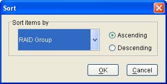 The RAID Group Summary window has its own menu bar.
