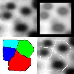 Watershed Segmentation Example 1 The small greyscale image of smooth black blobs is a natural test candidate for watershed segmentation. This image was segmented using the IDL watershed.