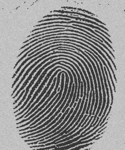 Global Segmentation Example 1 The effect of thresholding the fingerprint image at