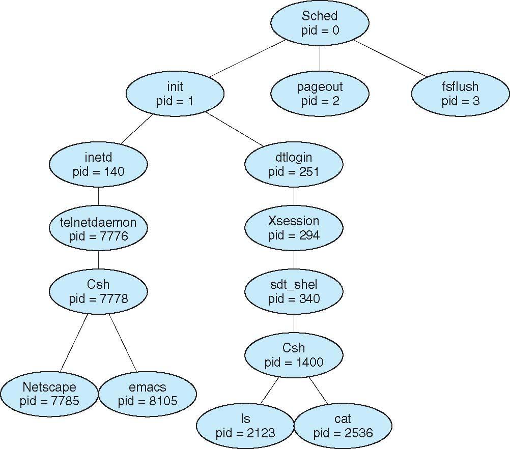 A Tree of Processes on Solaris 3.