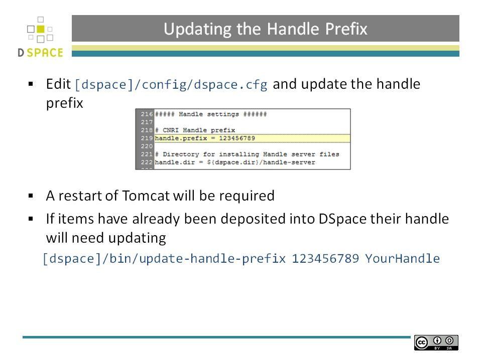Updating the Handle Prefix Updating the Handle Prefix If you need to update the handle prefix on items created before the CNRI registration process you can run the [DSpace]/bin/update-handle-prefix
