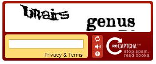 4. As a spam prevention measure, a CAPTCHA field must be completed at the bottom of the form.