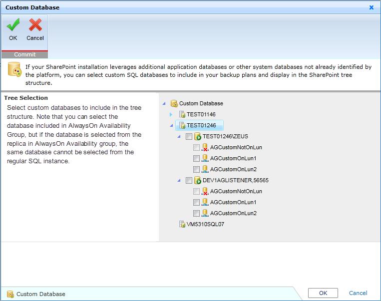 b. In the Custom Database window, click the Custom Database node on the right panel to expand the tree.