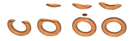 Morse Theory for Implicit Surface Modeling 7 M 1/8 g B 0 M1/8 g B 1 M 3/8 M 5/8 g B 1 M 13/16 M 15/16 g B 2 M 1 Fig. 4. Homotopy classes of the clipped torus. Proof.