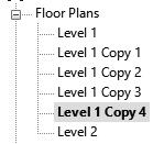 Using Duplicate View Duplicate, create four copies of the Level 1 view.