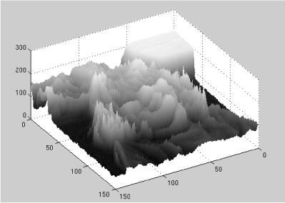 Low gradient areas correspond to catchment basins All pixels in a