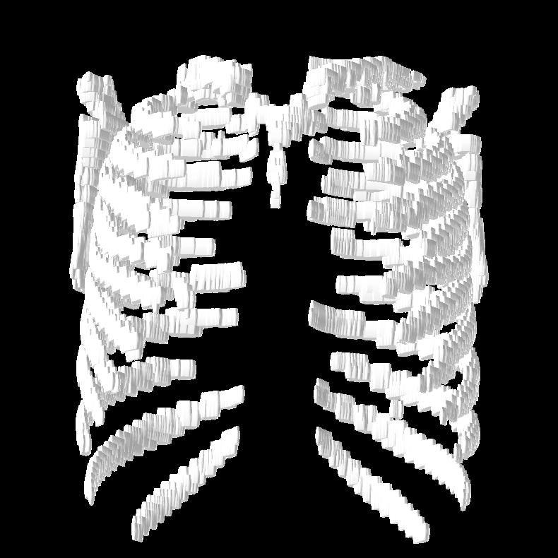 Results: Rib Structure