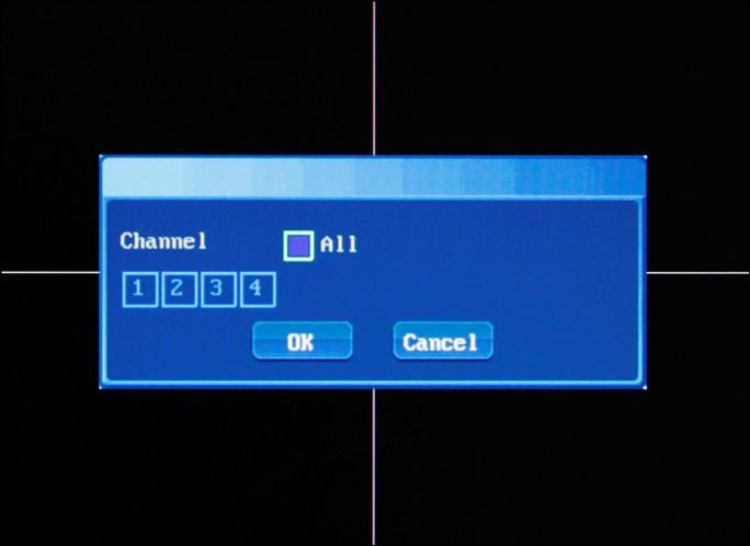 [Manual rec]: Click to record on single channel or all IP