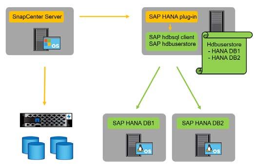 In this case, the SAP HANA plug-in and the SAP hdbsql client software are installed on the Linux host.