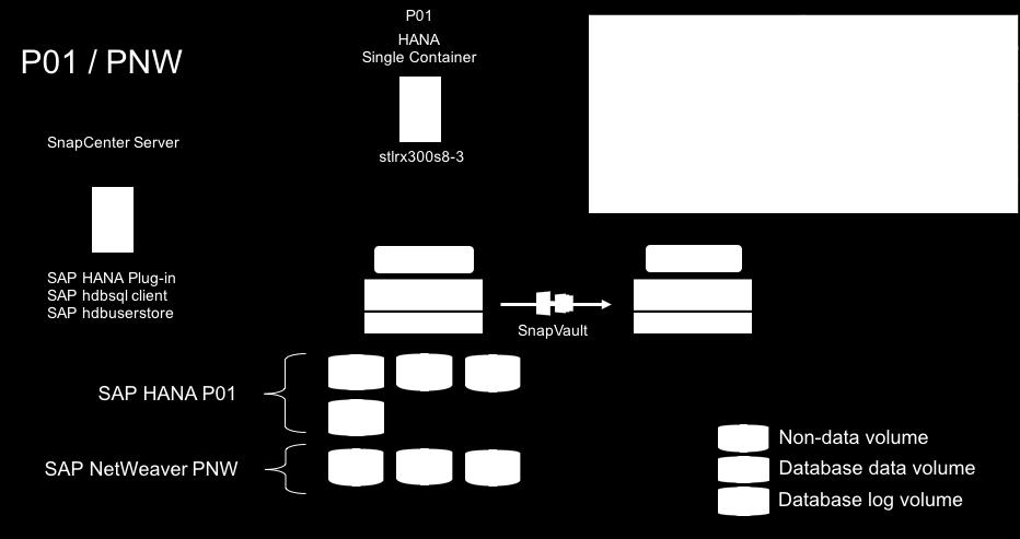 Figure 24) SAP HANA P01 and NetWeaver PNW. In our example, we create a single nondata resource for every nondata volume. 1.