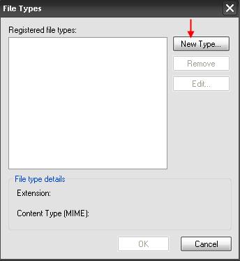 4. Click the New Type button in the File Types window. See Figure 17.3 Figure 17.3 5.